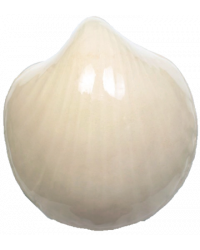 GLASUR GT 40102 TRANSPARENT...