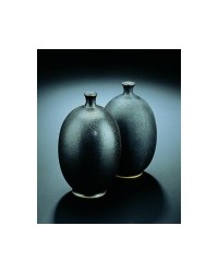 Émail en poudre GS 9611...