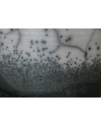 Émail en poudre 1100 Raku...