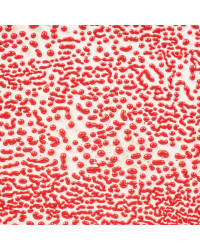 AMACO CR-58 RED 472 ML,...