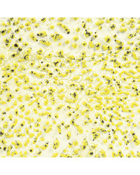 AMACO CR-61 SPECKLED YELLOW...