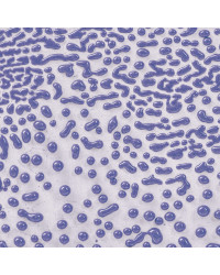 AMACO CR-54 PURPLE 472 ML,...