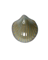 GLASUR G 450905 AMAZING...