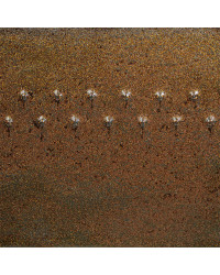 AMACO PC-69 COSMIC GOLD...