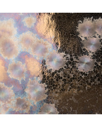 AMACO CO-03 EVENT HORIZON...