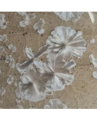 CALCITE CRYSTALLINE...