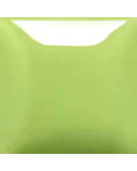 MAYCO SC098-8 SLIME TIME...