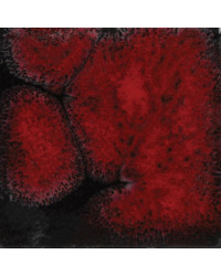 MAYCO CG0779-4 BLACK OPAL...
