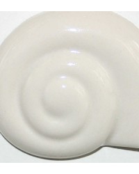G2395/1 Email porcelaine...